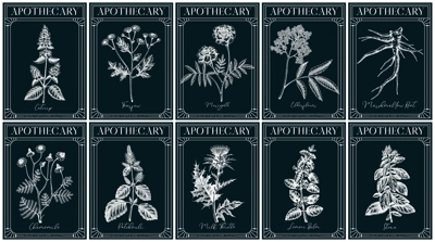 Apothecary labels set. Healing plants and medicinal herbs sketches. Art nouveua, adt deco, vintage, retro style. Frame design templates on chalkboard. NOT AI generated